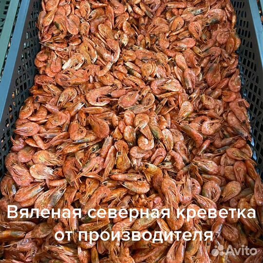 Вяленая северная креветка в остром томатном соусе