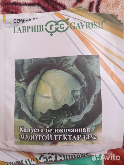 Рассада капусты