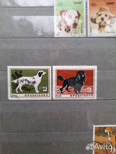 Марки Собаки и Кошки. Цена за все марки