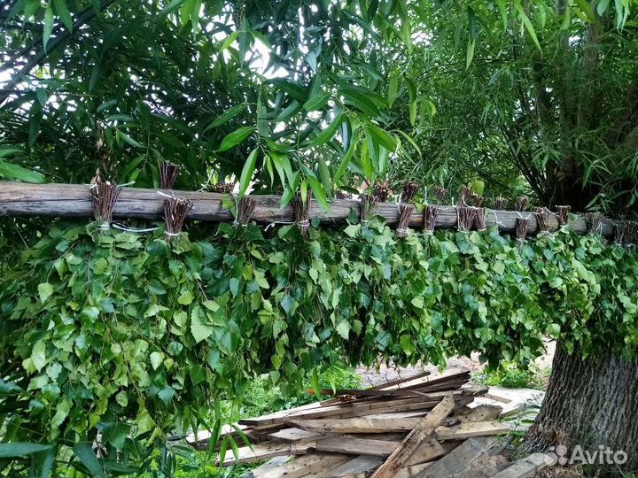 Веники дубовые, берёзовые