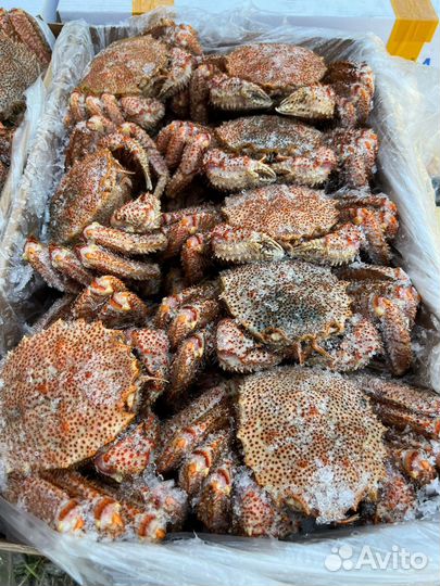 Оптом Краб Волосатик