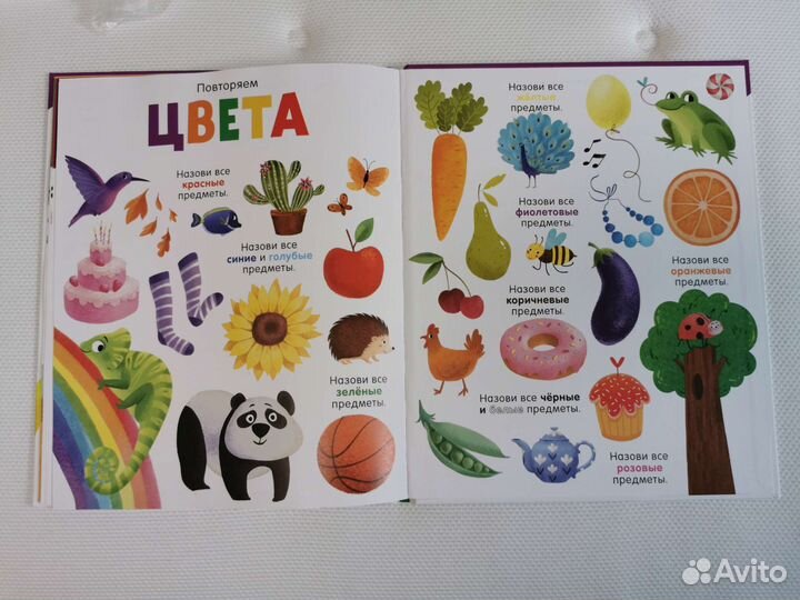 Большая книга цвета