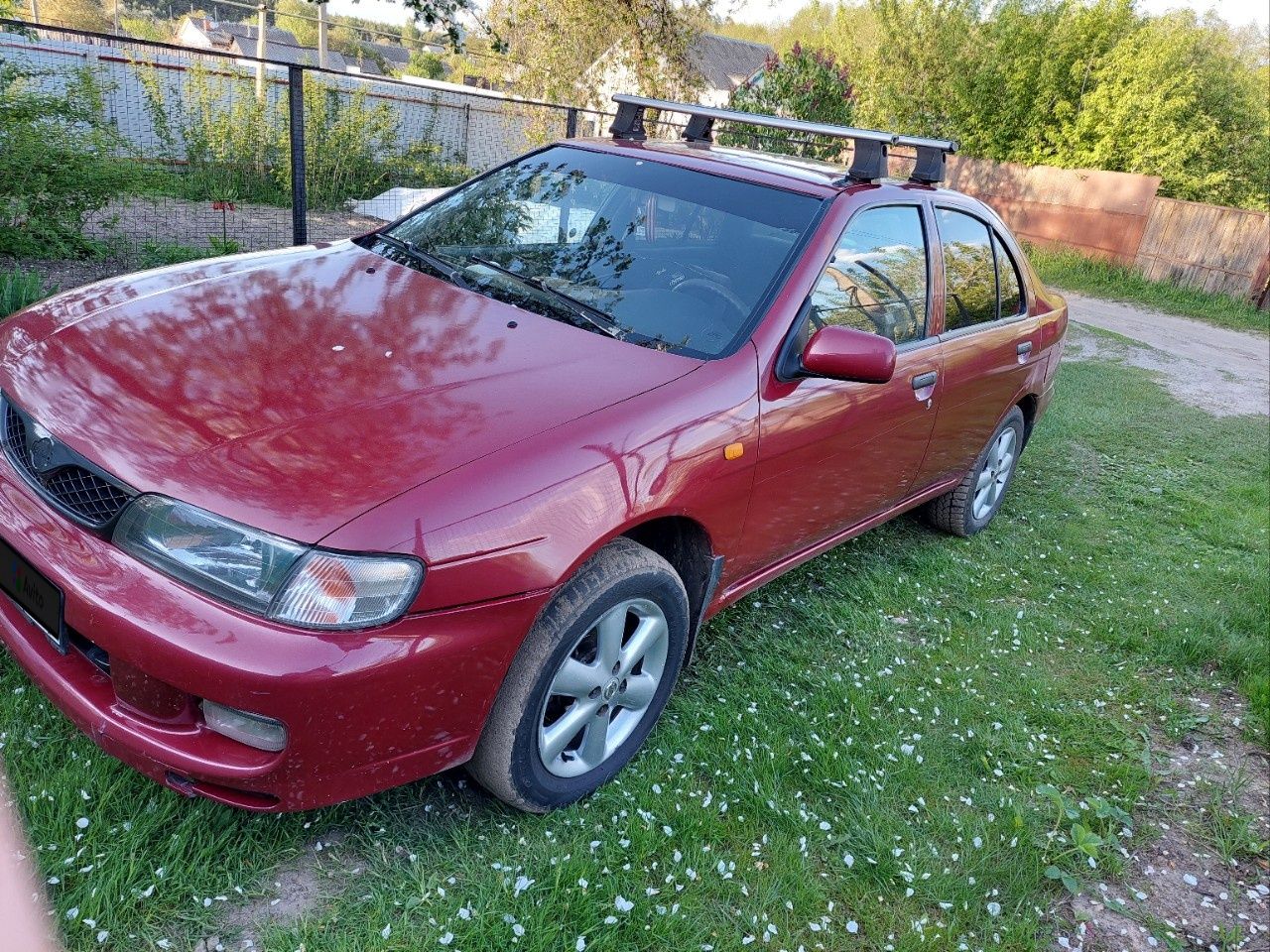 Nissan Almera: фото владельца