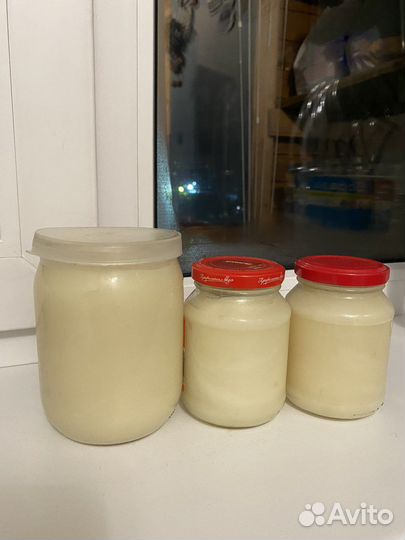 Барсучий жир от охотника