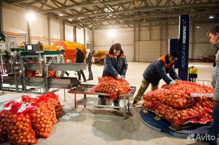 Разнорабочий