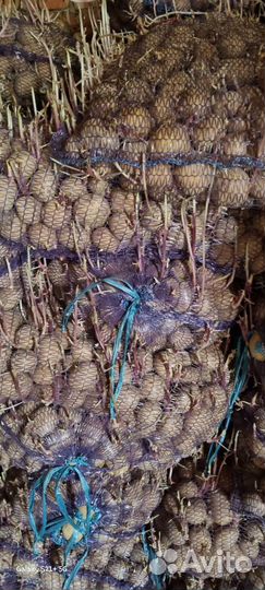 Бесплатно. Корм животным и птице