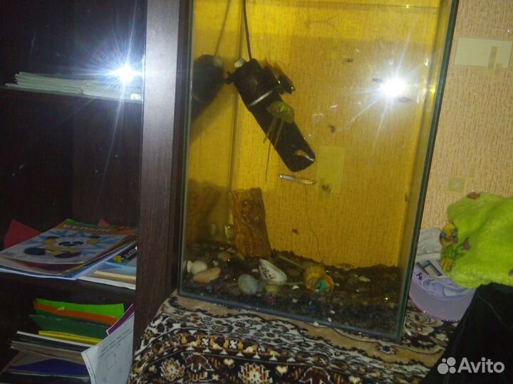 Набор рыбки