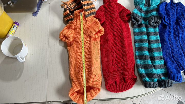 Одежда для сфинска