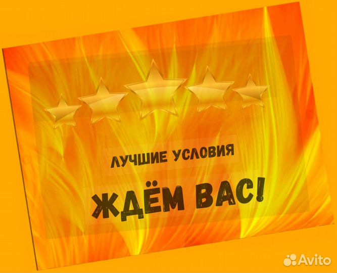 Оператор производственной линии Без опыта М/Ж