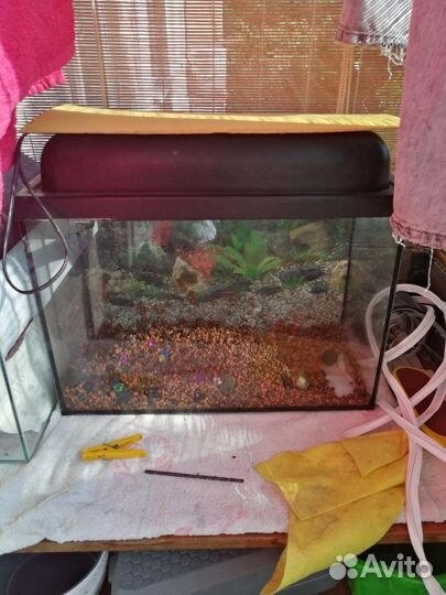 Аквариум 2 шт 10 литров и 25 литров