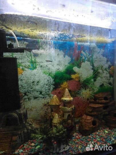 Аквариум