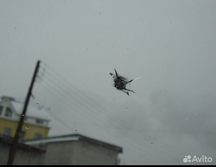 Ремонт автостекол