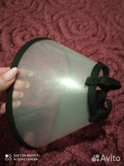 Ошейник для кошек