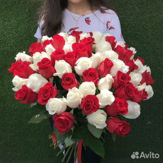 55 красно-белых роз 50 см (Эквадор)