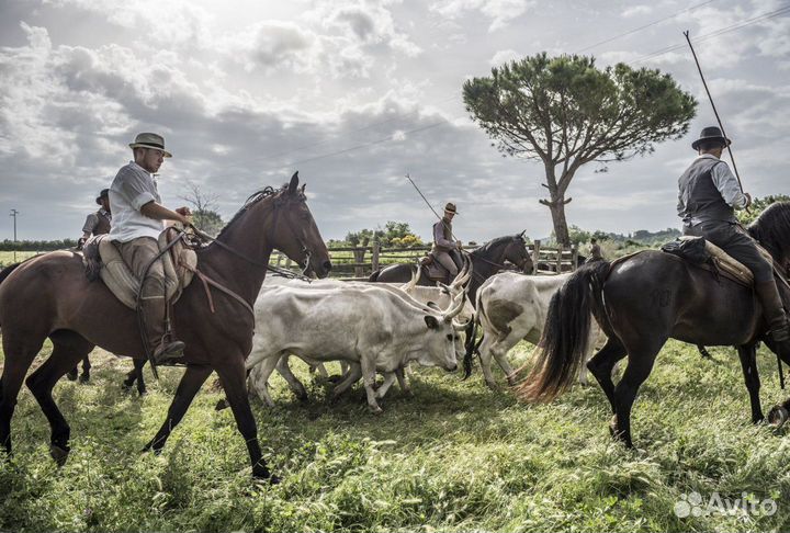 Требуется пастух