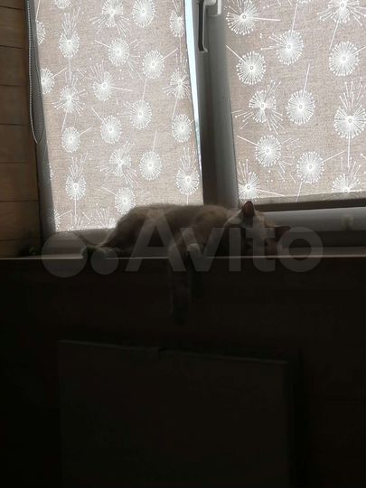 Дом 90 м² на участке 8 сот.