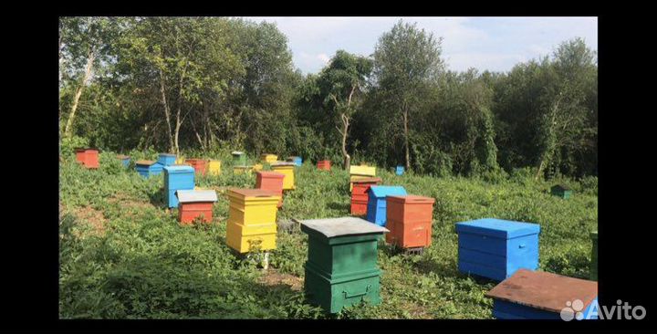 Ульи для пчел