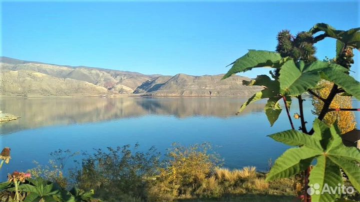 Тур в Дагестан