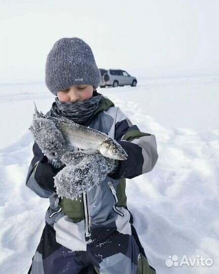 Аренда джипа