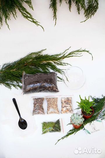 Набор для создания флорариума (размер S)