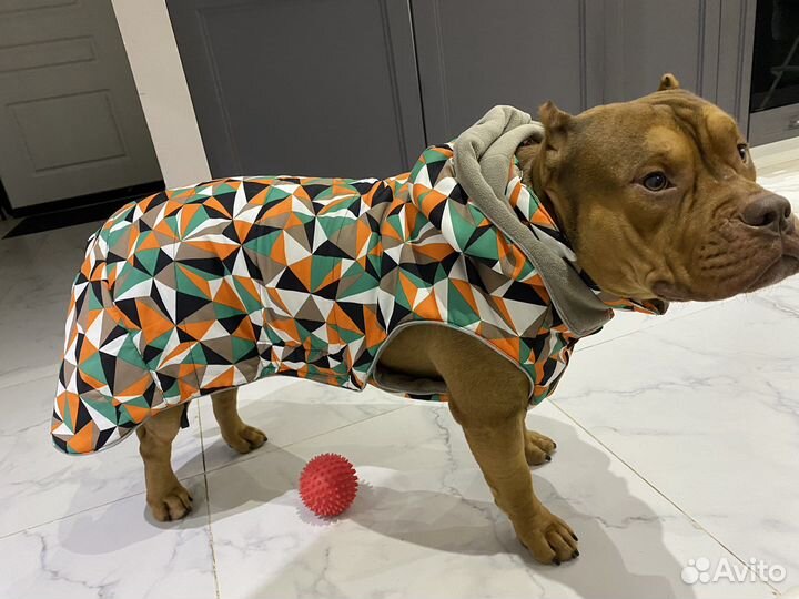 Одежда для собак средних и крупных пород