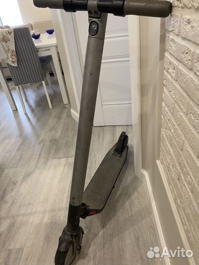 Электросамокат ninebot by segway