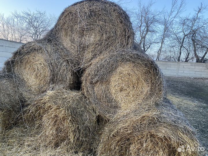 Солома в рулонах