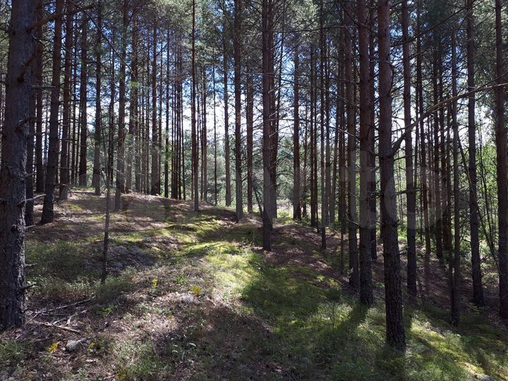 Участок 5 га (СНТ, ДНП)