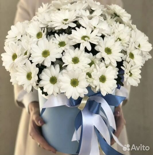 Хризантема в шляпной коробке. Букеты. Цветы с дост