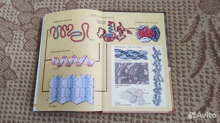 Химия, 11 класс, Профильный уровень, Еремин В.В