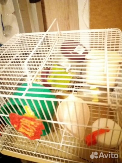 Клетка для грызунов