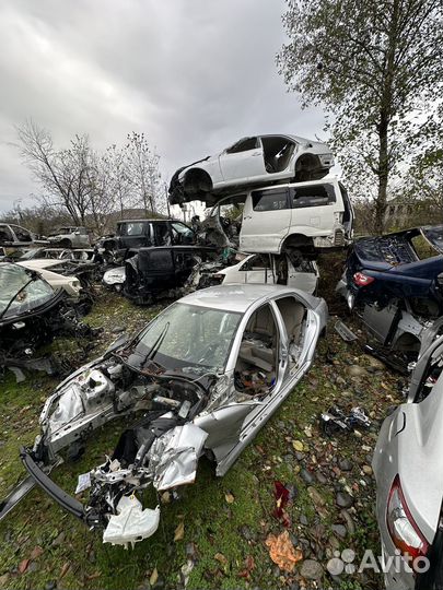 Разбор Toyota Alphard
