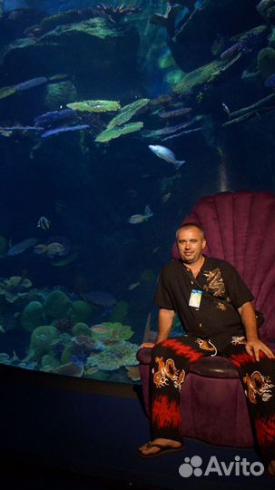 Обслуживание ващего аквариума