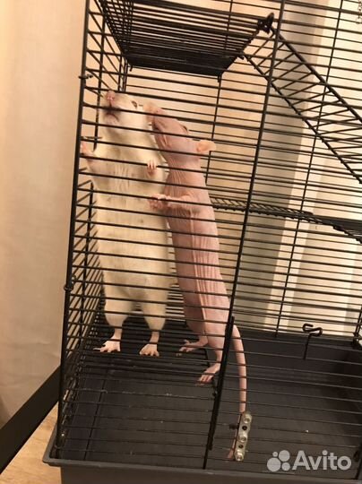 Клетка для грызунов