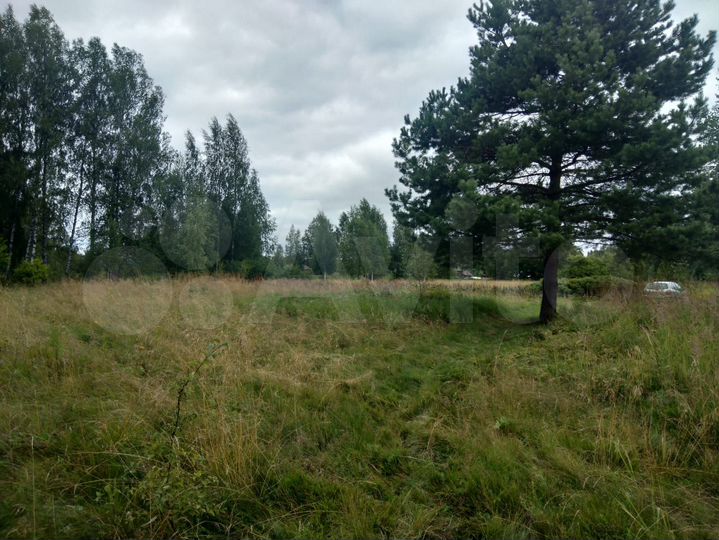 Участок 100 сот. (СНТ, ДНП)