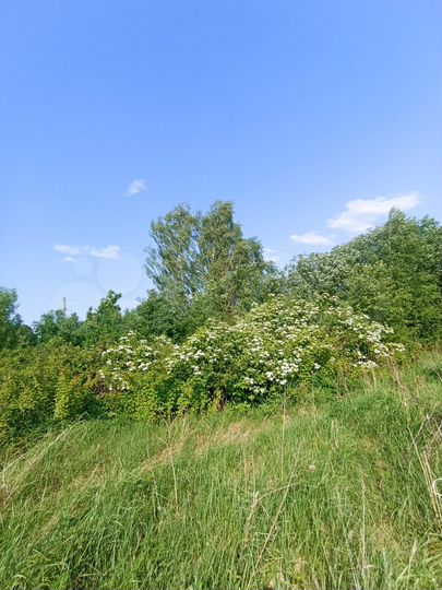 Участок 28 сот. (ИЖС)