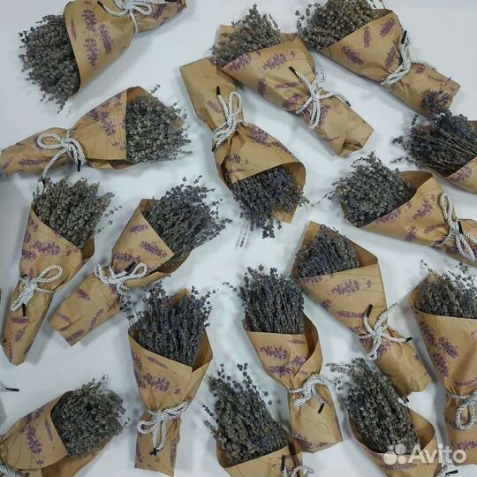 Лаванда сухоцвет