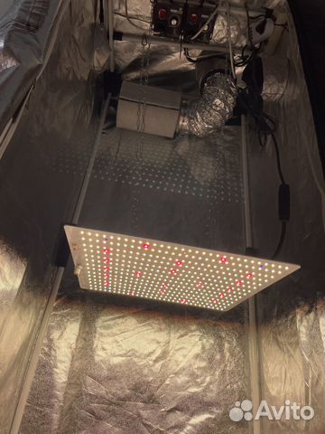 Готовый Гроубокс для выращивания растений