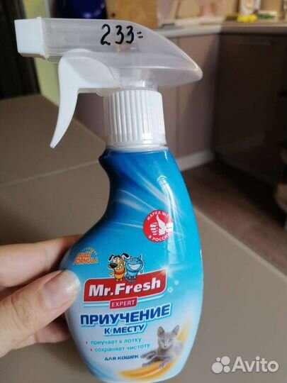 Приучить к лотку