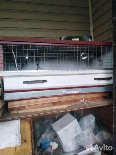 Брудер для цыплят