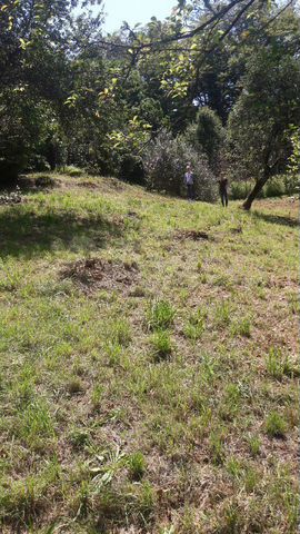 Участок 12 сот. (ИЖС)