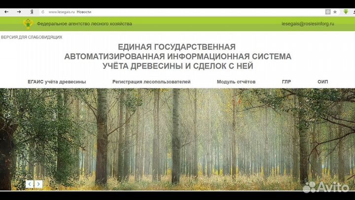 Лес Егаис Услуги