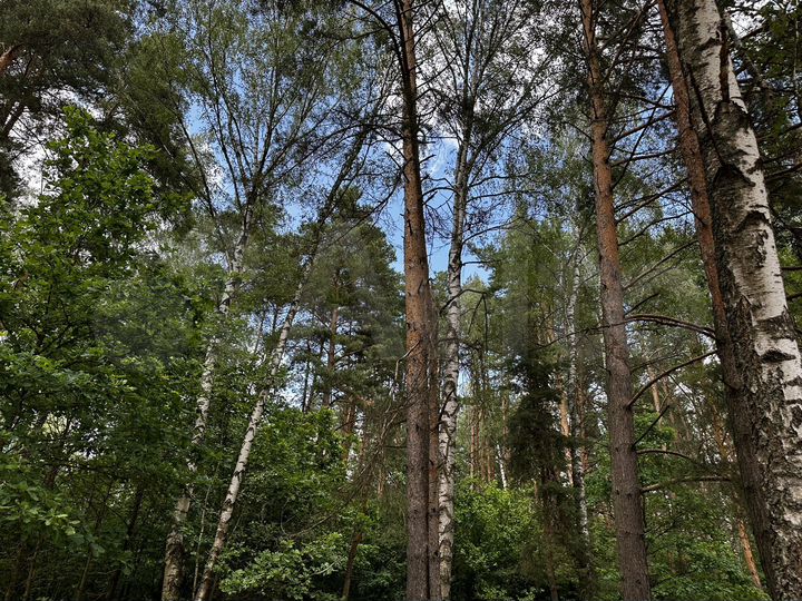 Участок 19 сот. (ИЖС)