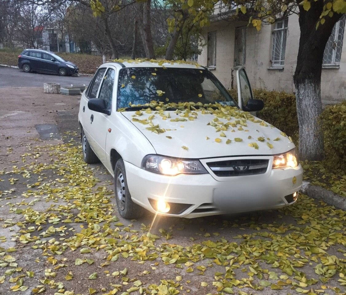 Daewoo Nexia: фото владельца