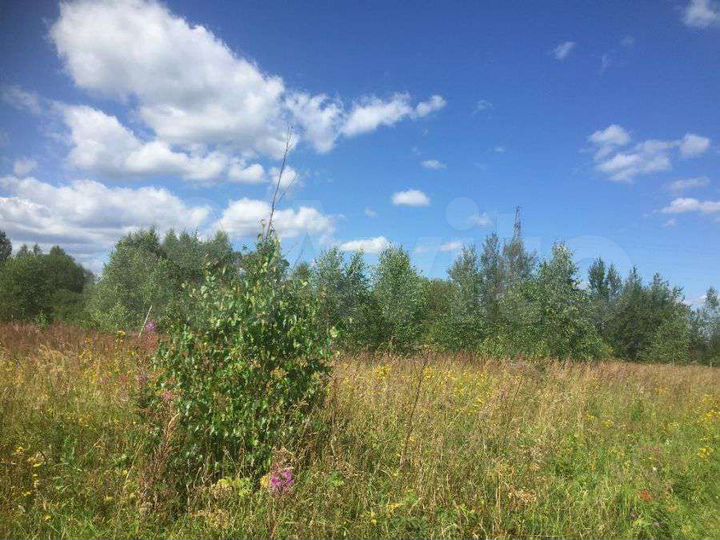 Участок 50 сот. (ИЖС)