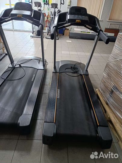 Спорт