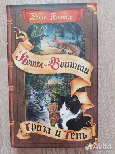 Коты воители