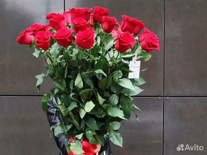 Цветы Высокие Розы 100-170 см, Доставка, Самовывоз