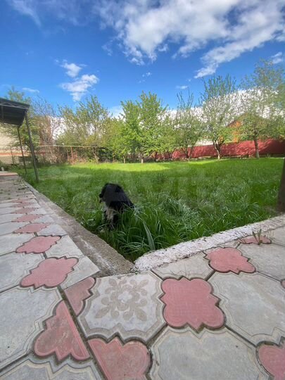 Дом 272,1 м² на участке 6,4 сот.