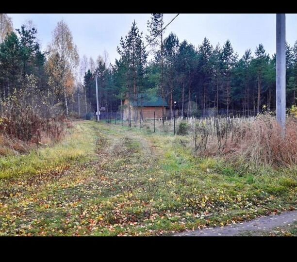 Участок 13 га (СНТ, ДНП)